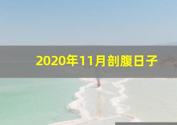 2020年11月剖腹日子