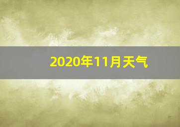 2020年11月天气