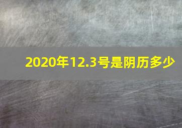 2020年12.3号是阴历多少