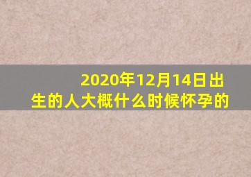 2020年12月14日出生的人大概什么时候怀孕的