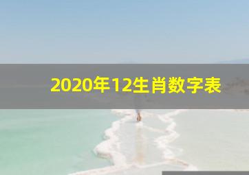 2020年12生肖数字表