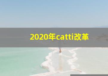 2020年catti改革