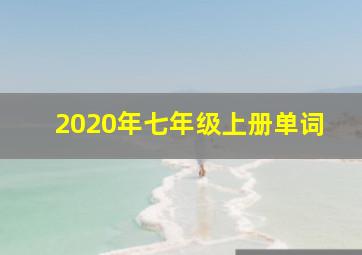 2020年七年级上册单词