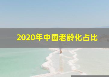 2020年中国老龄化占比