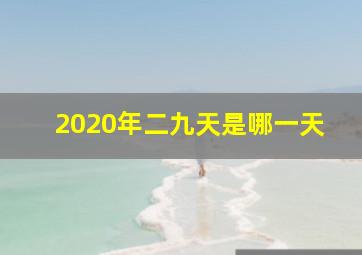 2020年二九天是哪一天