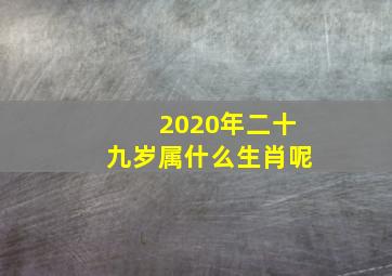 2020年二十九岁属什么生肖呢