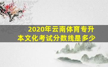 2020年云南体育专升本文化考试分数线是多少