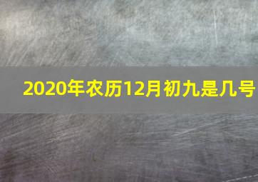 2020年农历12月初九是几号