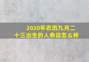 2020年农历九月二十三出生的人命运怎么样