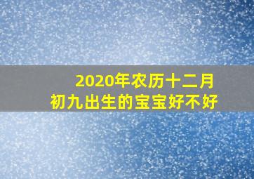 2020年农历十二月初九出生的宝宝好不好