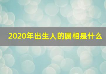 2020年出生人的属相是什么