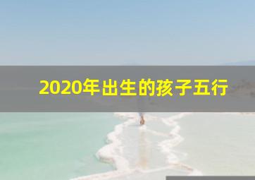 2020年出生的孩子五行