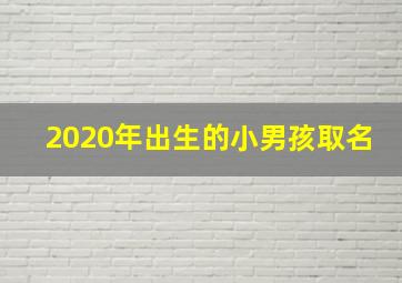 2020年出生的小男孩取名