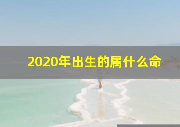 2020年出生的属什么命