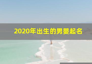 2020年出生的男婴起名