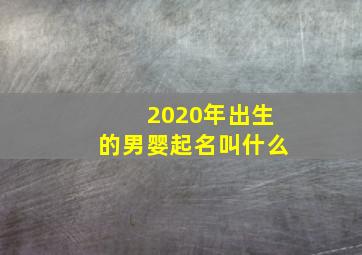 2020年出生的男婴起名叫什么