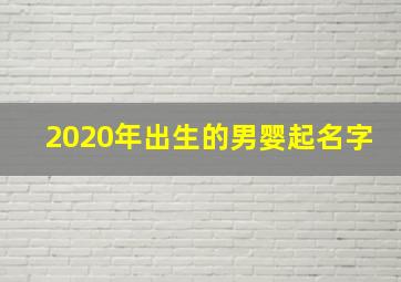 2020年出生的男婴起名字