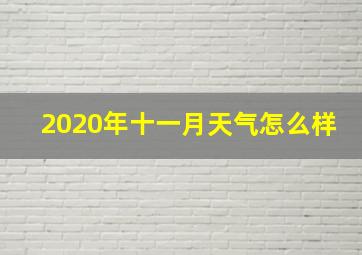 2020年十一月天气怎么样