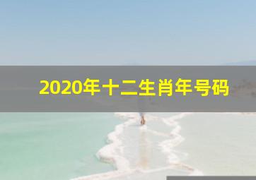 2020年十二生肖年号码