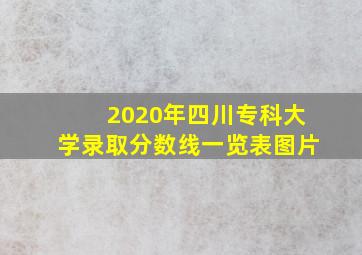 2020年四川专科大学录取分数线一览表图片