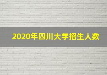 2020年四川大学招生人数