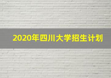 2020年四川大学招生计划