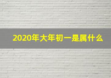 2020年大年初一是属什么