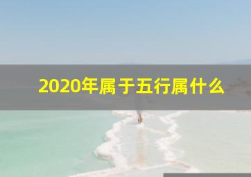 2020年属于五行属什么