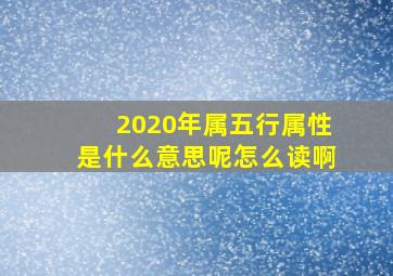 2020年属五行属性是什么意思呢怎么读啊