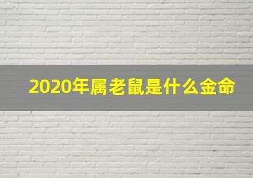 2020年属老鼠是什么金命