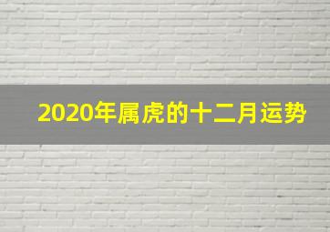 2020年属虎的十二月运势