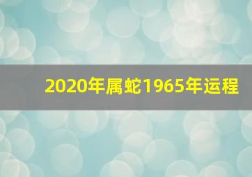 2020年属蛇1965年运程