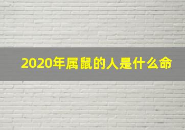 2020年属鼠的人是什么命