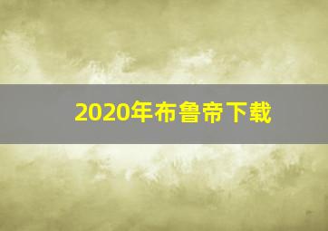 2020年布鲁帝下载