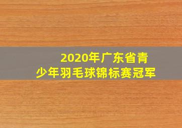 2020年广东省青少年羽毛球锦标赛冠军