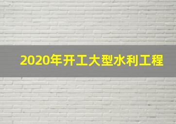 2020年开工大型水利工程