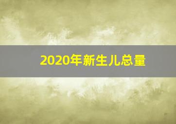 2020年新生儿总量