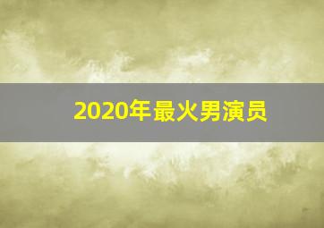 2020年最火男演员