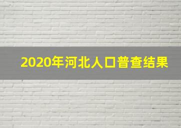 2020年河北人口普查结果