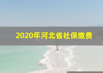 2020年河北省社保缴费