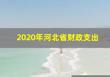 2020年河北省财政支出