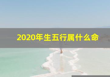 2020年生五行属什么命