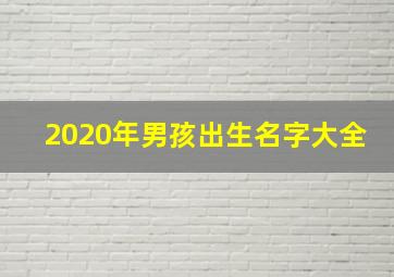 2020年男孩出生名字大全