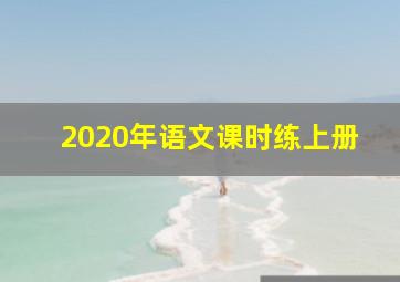 2020年语文课时练上册