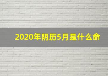 2020年阴历5月是什么命