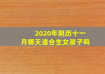 2020年阴历十一月哪天适合生女孩子吗