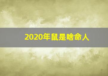 2020年鼠是啥命人