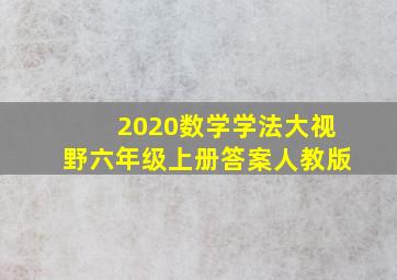 2020数学学法大视野六年级上册答案人教版