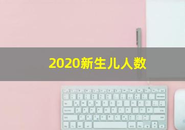 2020新生儿人数