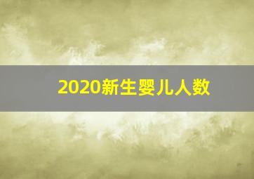 2020新生婴儿人数